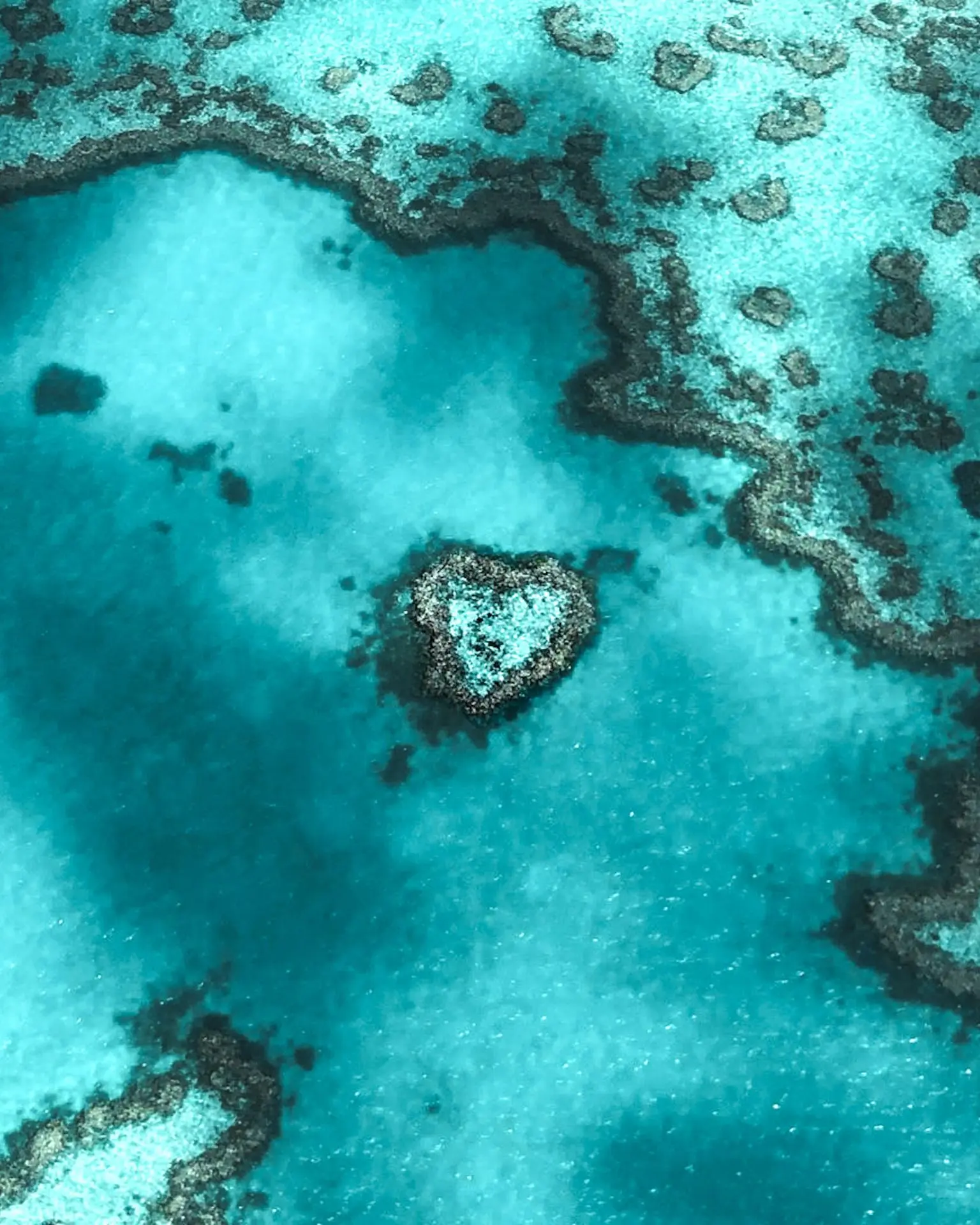 mer
